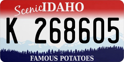 ID license plate K268605