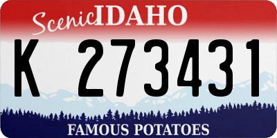 ID license plate K273431