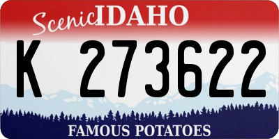 ID license plate K273622