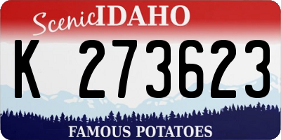 ID license plate K273623