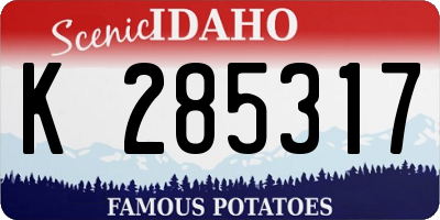 ID license plate K285317