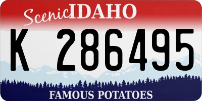 ID license plate K286495
