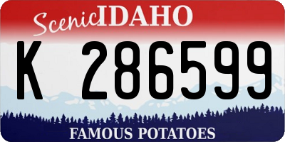 ID license plate K286599
