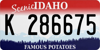 ID license plate K286675