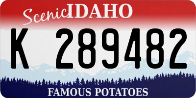 ID license plate K289482