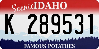 ID license plate K289531