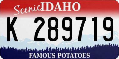 ID license plate K289719