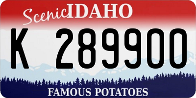 ID license plate K289900