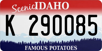 ID license plate K290085