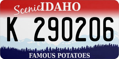 ID license plate K290206