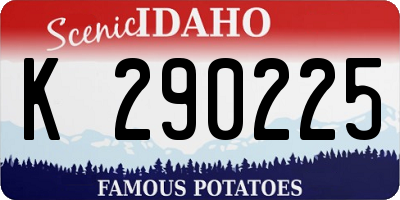 ID license plate K290225