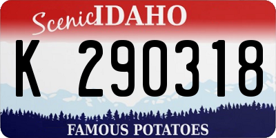 ID license plate K290318