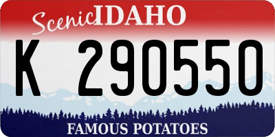 ID license plate K290550
