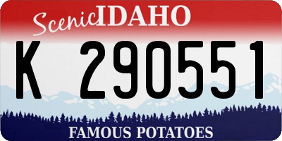 ID license plate K290551