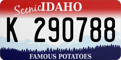 ID license plate K290788