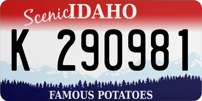 ID license plate K290981