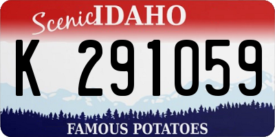 ID license plate K291059