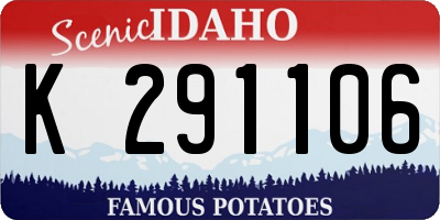 ID license plate K291106