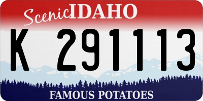 ID license plate K291113