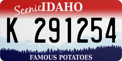 ID license plate K291254