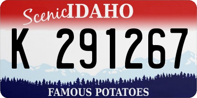 ID license plate K291267