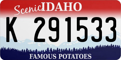 ID license plate K291533