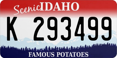 ID license plate K293499