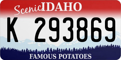 ID license plate K293869