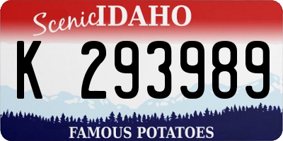 ID license plate K293989