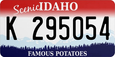 ID license plate K295054