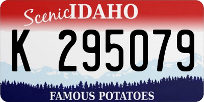 ID license plate K295079