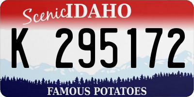 ID license plate K295172