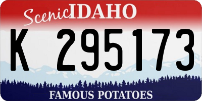 ID license plate K295173