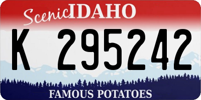 ID license plate K295242