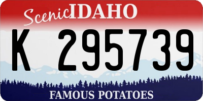 ID license plate K295739