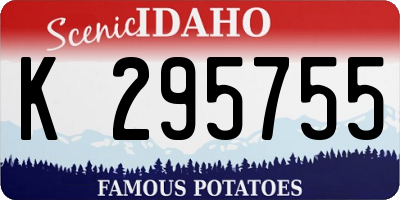 ID license plate K295755