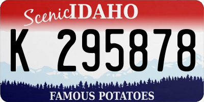 ID license plate K295878