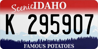 ID license plate K295907