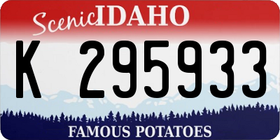 ID license plate K295933