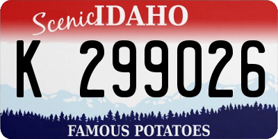 ID license plate K299026