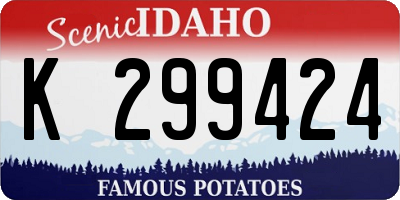 ID license plate K299424