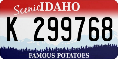 ID license plate K299768