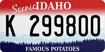 ID license plate K299800