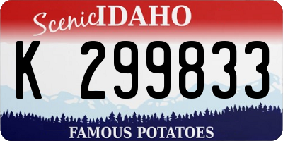ID license plate K299833