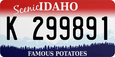 ID license plate K299891