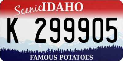 ID license plate K299905