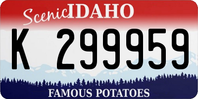ID license plate K299959