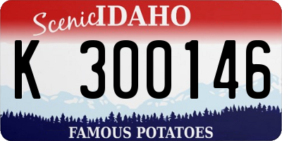 ID license plate K300146