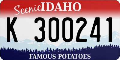 ID license plate K300241