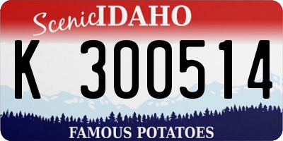 ID license plate K300514